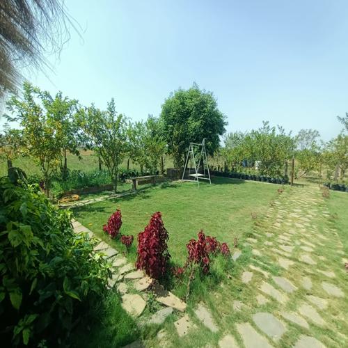 Jaivik Jeevan Farmstay, Dhanora Haveli